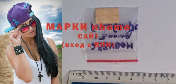индика Надым