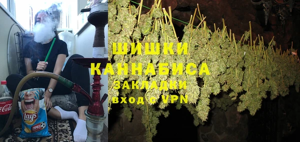 индика Надым