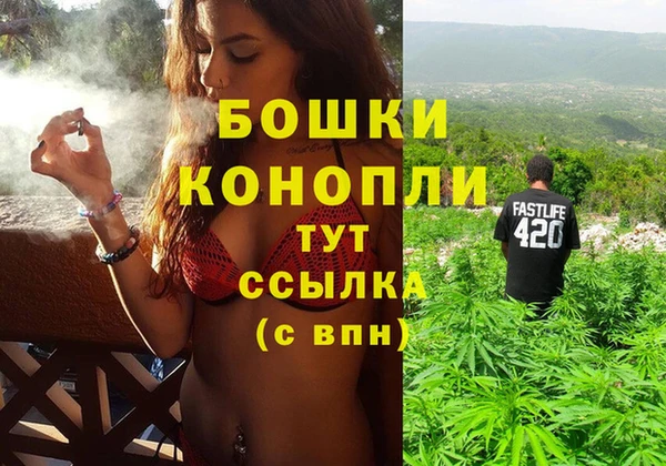 индика Надым