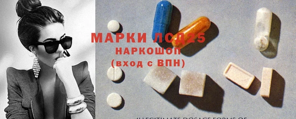 индика Надым