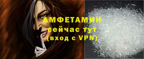 индика Надым