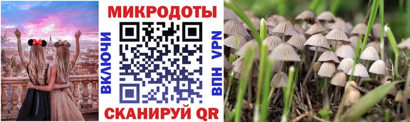 Псилоцибиновые грибы Psilocybine cubensis  где продают наркотики  Макушино 